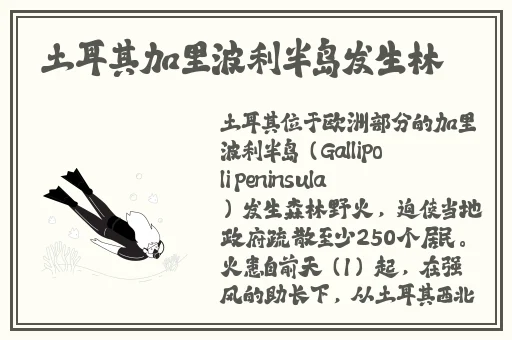 原神胡桃腿法娴熟脚法